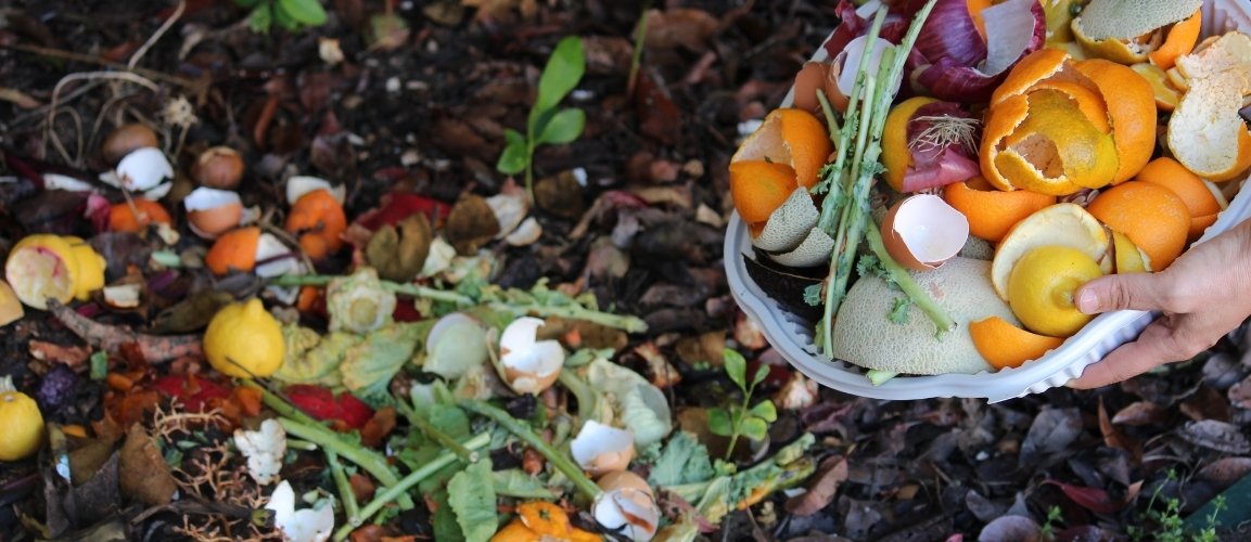 Organik Atıklar Geri Dönüştürülebilir mi?